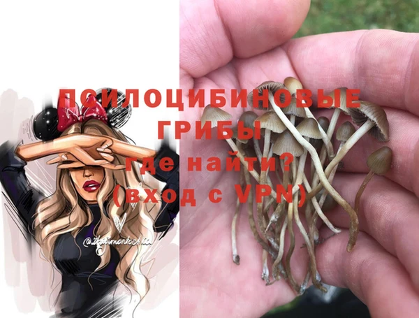 амф Володарск